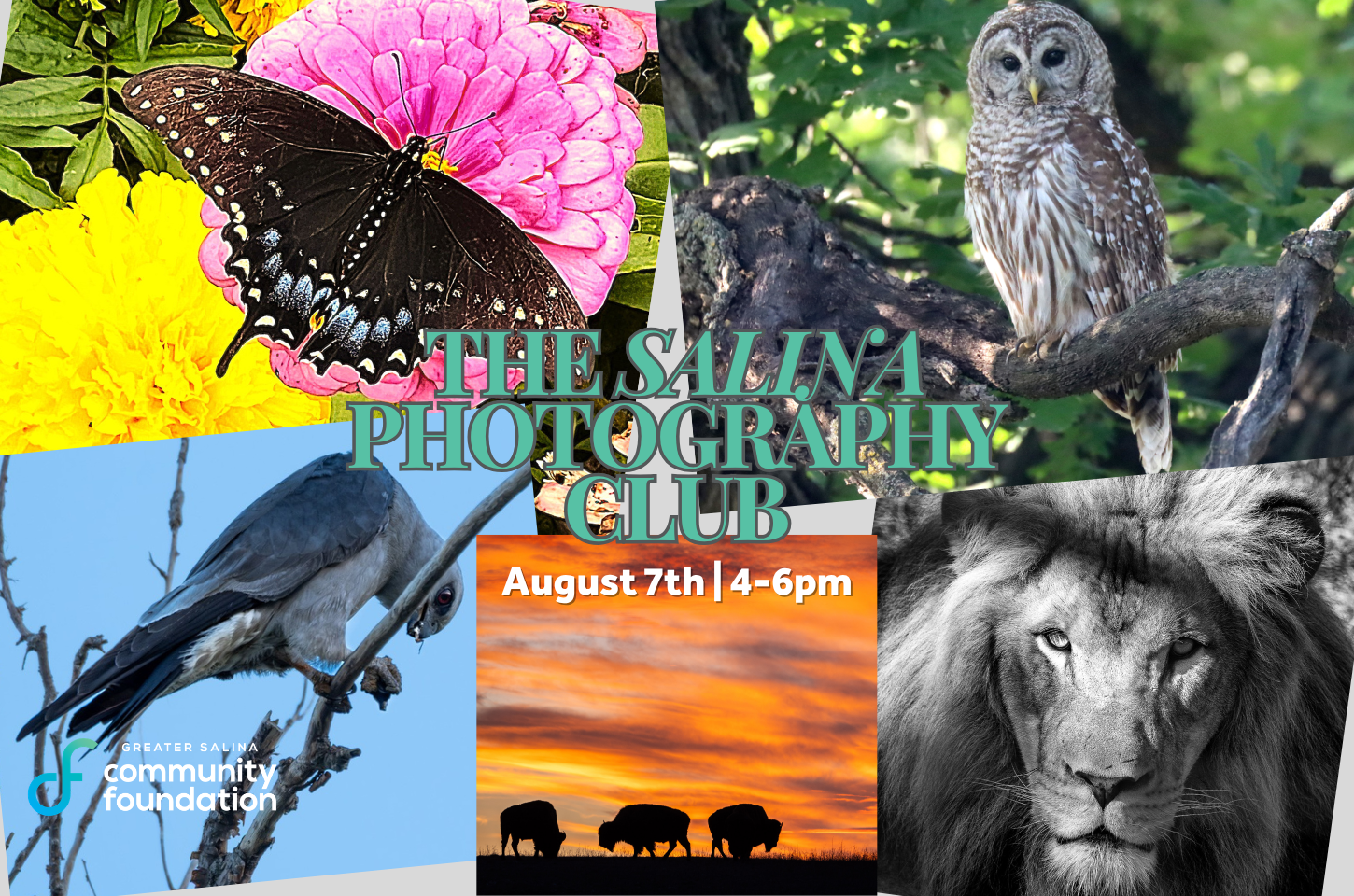 Salina Photography Club (2).png